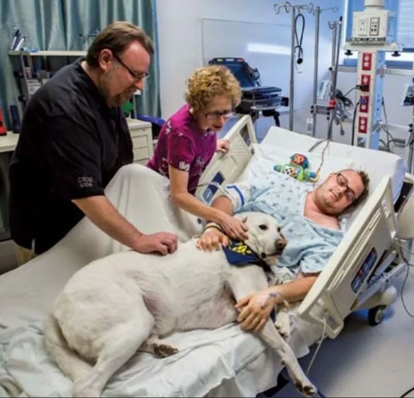 Bond between therapy dogs and ohter pets